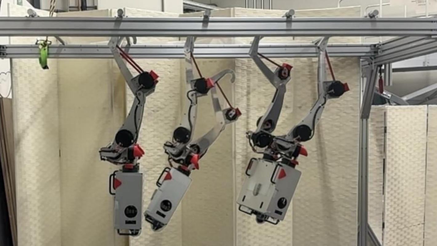 Robust Brachiation on a Life-Sized Dual-Arm Robot Using Waypoint-Guided Reinforcement Learning